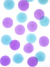 画像2: 手ぬぐい　はなだま 移菊 Aパターン（紫苑色多め） (2)