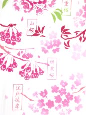 画像2: 手ぬぐい　桜図鑑 (2)