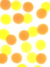 画像1: こっさ。オリジナル手ぬぐい　はなだま 櫨 (1)