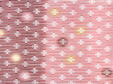 画像2: 【期間限定】東京和晒の手ぬぐい　沙羅想樹 (2)