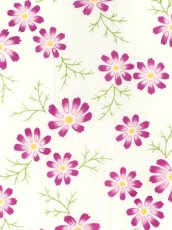画像1:  【期間限定、7月7日20時〜販売開始】 注染工房の手ぬぐい　コスモス オフホワイト (1)