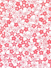 画像1: 【期間限定】ふんどしゆうこの手ぬぐい　うめももさくら (1)