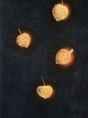 画像2: 【8月31日20時〜販売開始】関澤孝の手ぬぐい　透かし鬼灯（お一人様一点限り） (2)