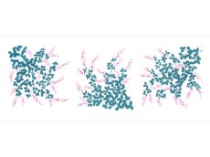 画像3: 【数量限定】あひろ屋の手ぬぐい　萩 ピンク色×青緑色（お一人様一点限り） (3)