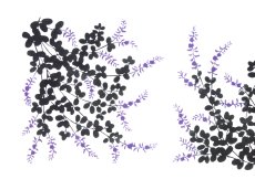 画像1: 【数量限定】あひろ屋の手ぬぐい　萩 紫色×黒（お一人様一点限り） (1)