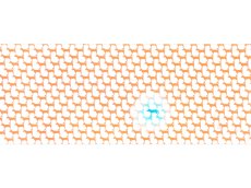画像3: 【2月の期間限定、2月8日20時〜販売開始】晴三の手ぬぐい　一匹狼 (3)