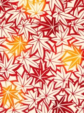 画像2: 【4月の限定販売、3月29日20時〜販売開始】紺屋乃加藤の手ぬぐい　もみじ（初登場） (2)