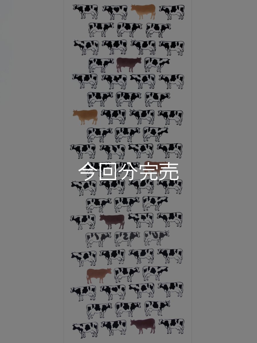 画像3: 【4月の限定販売】紺屋乃加藤の手ぬぐい　牛（初登場） (3)