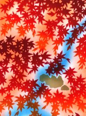 画像2: 【4月の限定販売、3月29日20時〜販売開始】紺屋乃加藤の手ぬぐい　滝紅葉（初登場） (2)