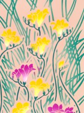 画像1: 【4月の限定販売、3月29日20時〜販売開始】紺屋乃加藤の手ぬぐい　フリージア（新作） (1)