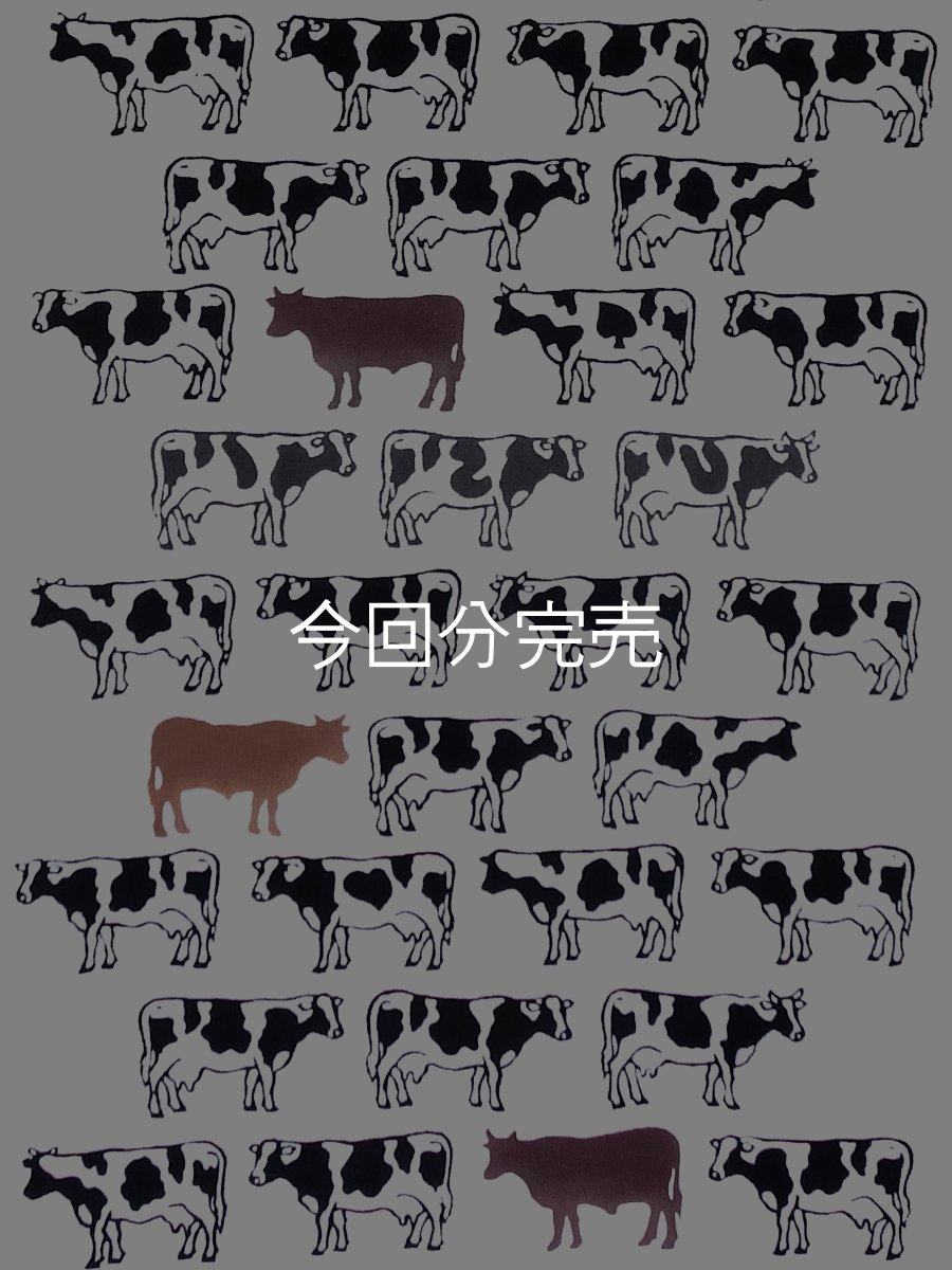 画像2: 【4月の限定販売】紺屋乃加藤の手ぬぐい　牛（初登場） (2)