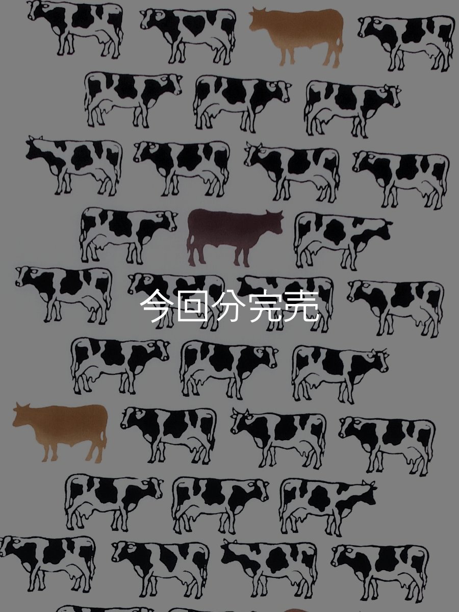 画像1: 【4月の限定販売】紺屋乃加藤の手ぬぐい　牛（初登場） (1)