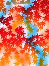 画像3: 【4月の限定販売、3月29日20時〜販売開始】紺屋乃加藤の手ぬぐい　滝紅葉（初登場） (3)