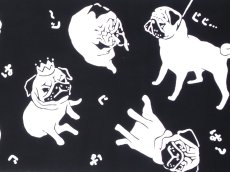 画像1: 【復活！！】とことわの手ぬぐい　ぱぐ 黒 (1)