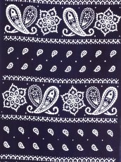 画像1: 【6月9日20時〜販売開始、6月の期間限定】スゲーテキスタイルの手ぬぐい　paisley bros NAVY (1)