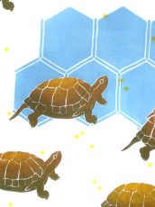 画像2: 【9月の期間限定、10日20時〜販売開始】えぼし SENSHOKU CREATORの手ぬぐい　カメ (2)
