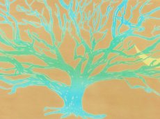 画像1: 【10月の期間限定】バオバブ堂の手ぬぐい　Rain tree (1)