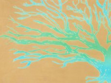 画像2: 【10月の期間限定】バオバブ堂の手ぬぐい　Rain tree (2)